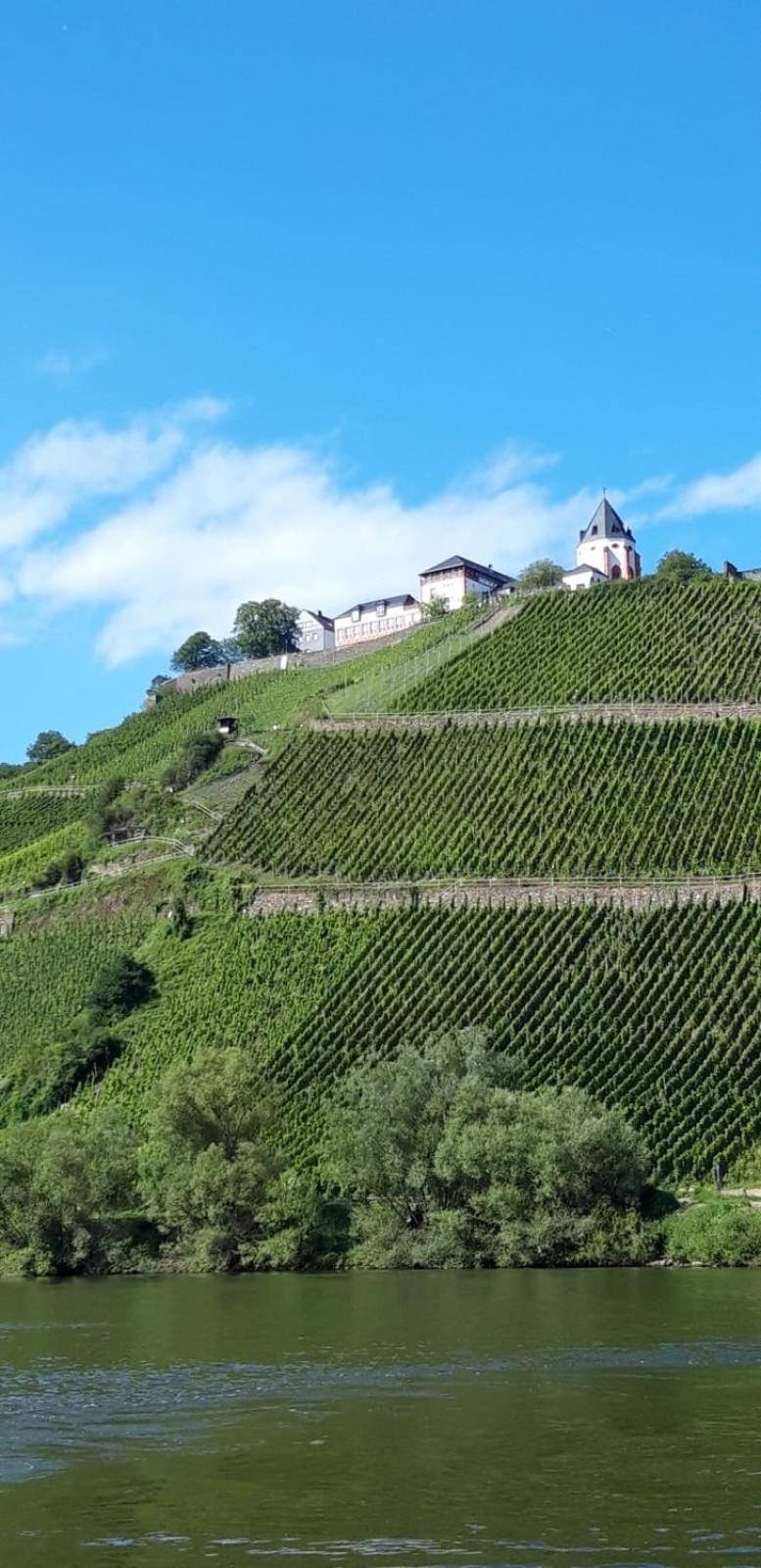 Residenz Moselstausee Sankt Aldegund Ngoại thất bức ảnh