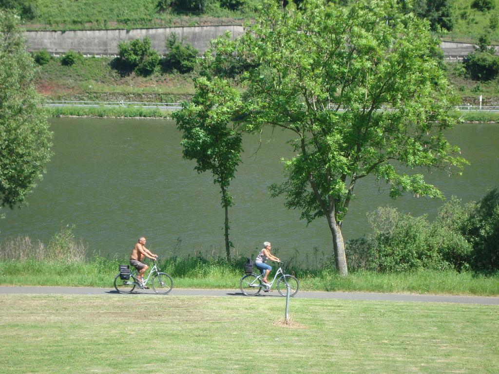 Residenz Moselstausee Sankt Aldegund Ngoại thất bức ảnh